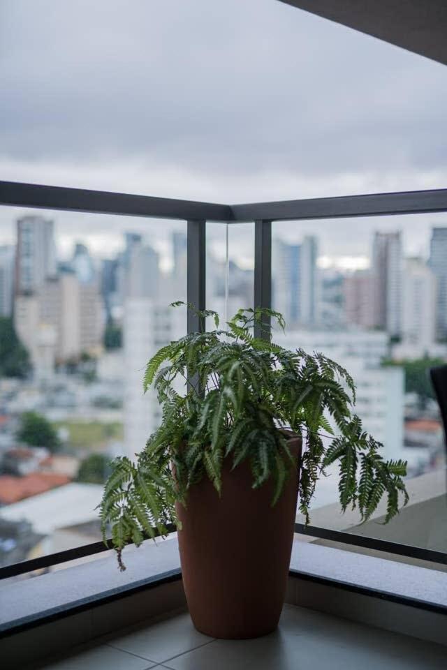 Bhomy Brooklin Próximo Metrô Campo Belo Vn1403 Apartamento São Paulo